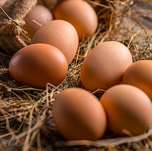 EGGS ALL DAY LONG