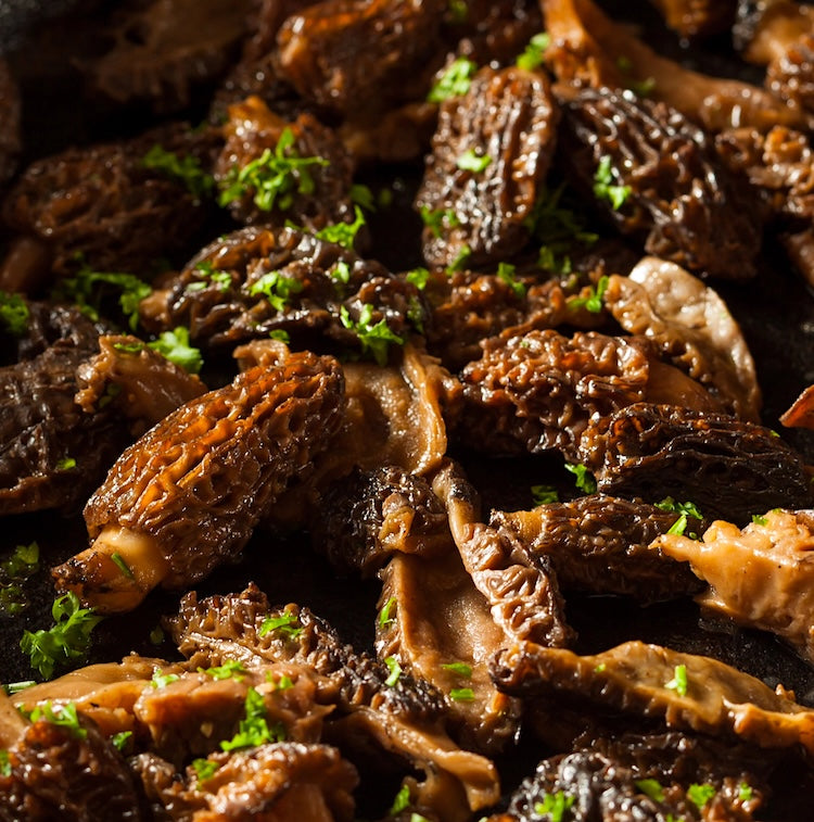 SAUTÉED MORELS