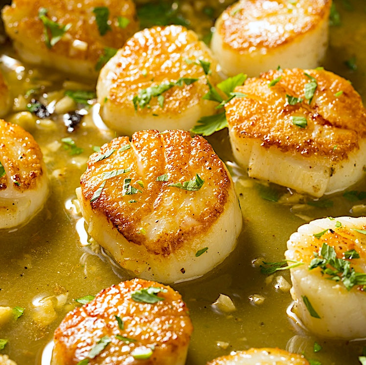 PAN-SEARED SCALLOPS
