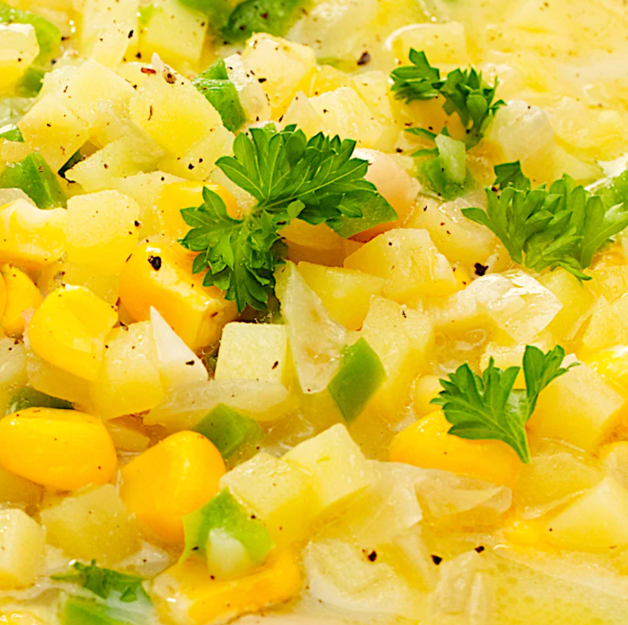 FRESH SUMMER CORN CHOWDER