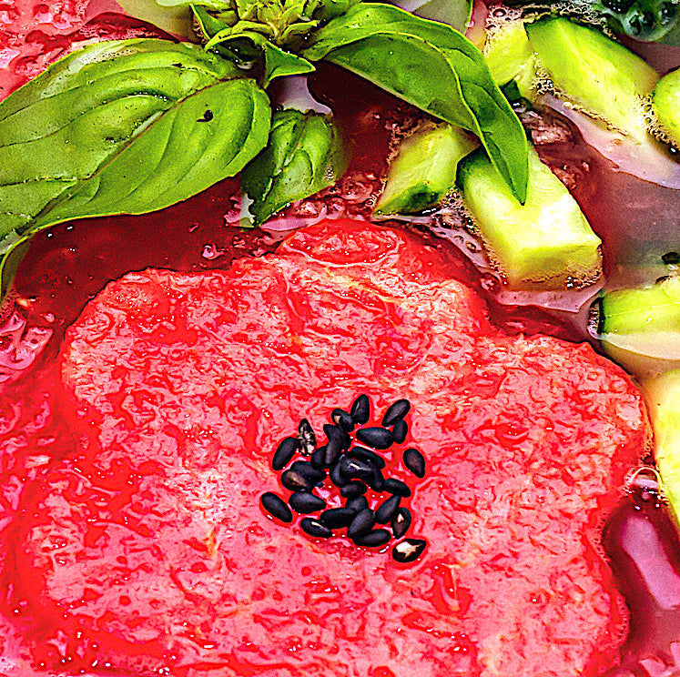 MELON GAZPACHO