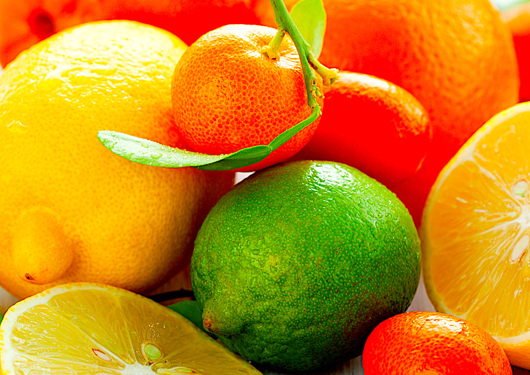 CITRUS COLLECTION